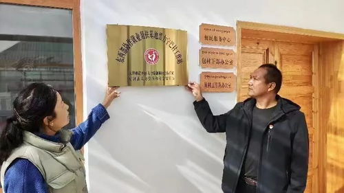 劳务协作建体系 立体服务促就业 劳务服务